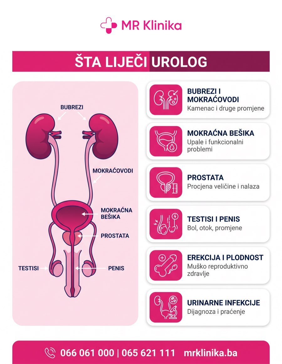 Šta liječi urolog - bubrezi, mokraćovodi, mokraćna bešika, prostata, testisi i penis, erekcija i plodnost, urinarne infekcije